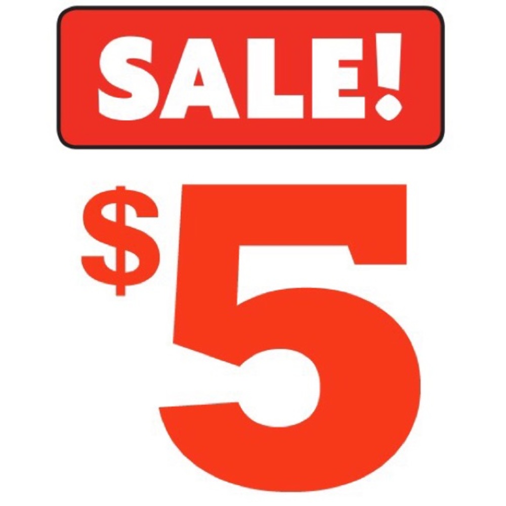 ‼️SOME ITEMS IN MY CLOSET ARE JUST 5 DOLLARS‼️