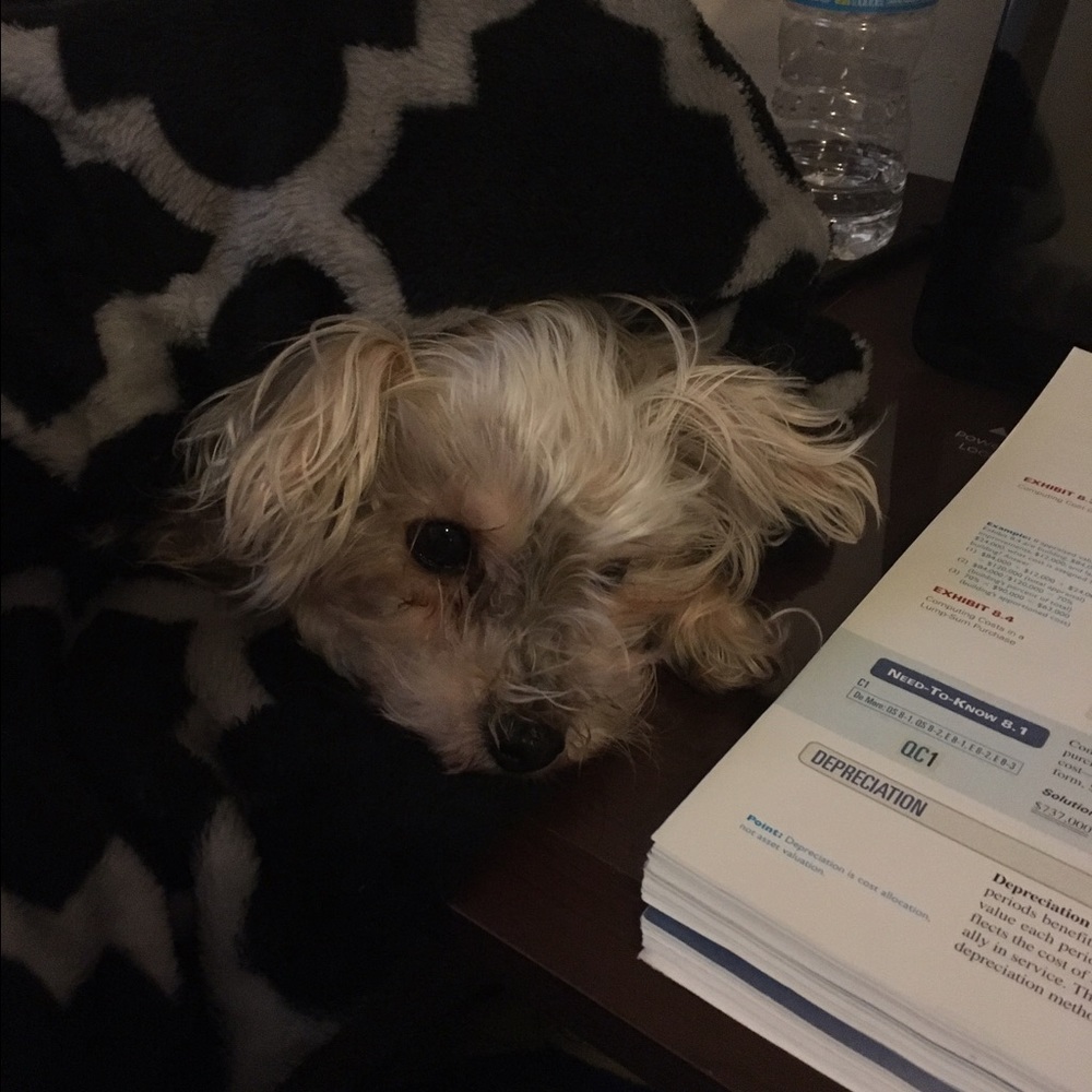 Meet your Posher, Golzar