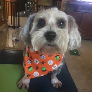 Meet your Posher, Terri