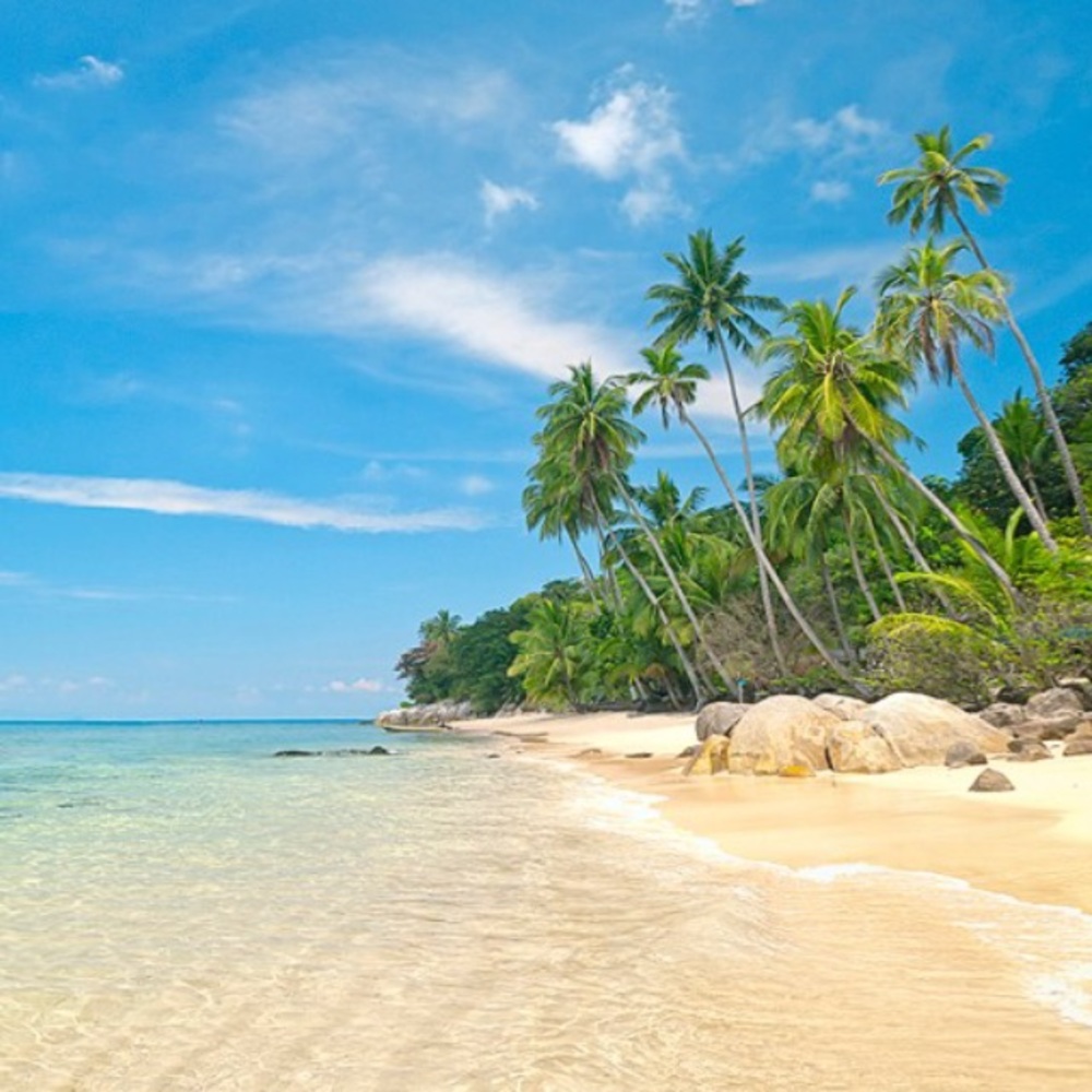 Meet your Posher, Samantha