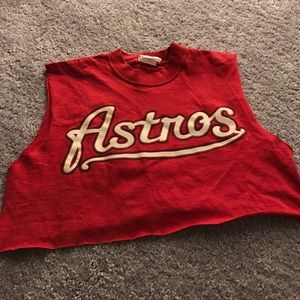 Babes and Felines Astros Crop Top