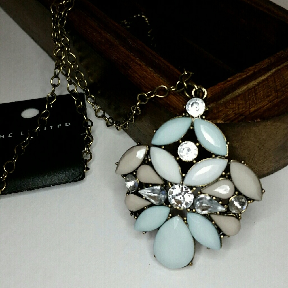 🆕 The Limited Necklace