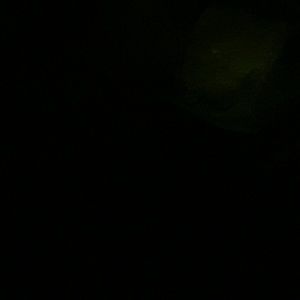 Meet your Posher, Luisa