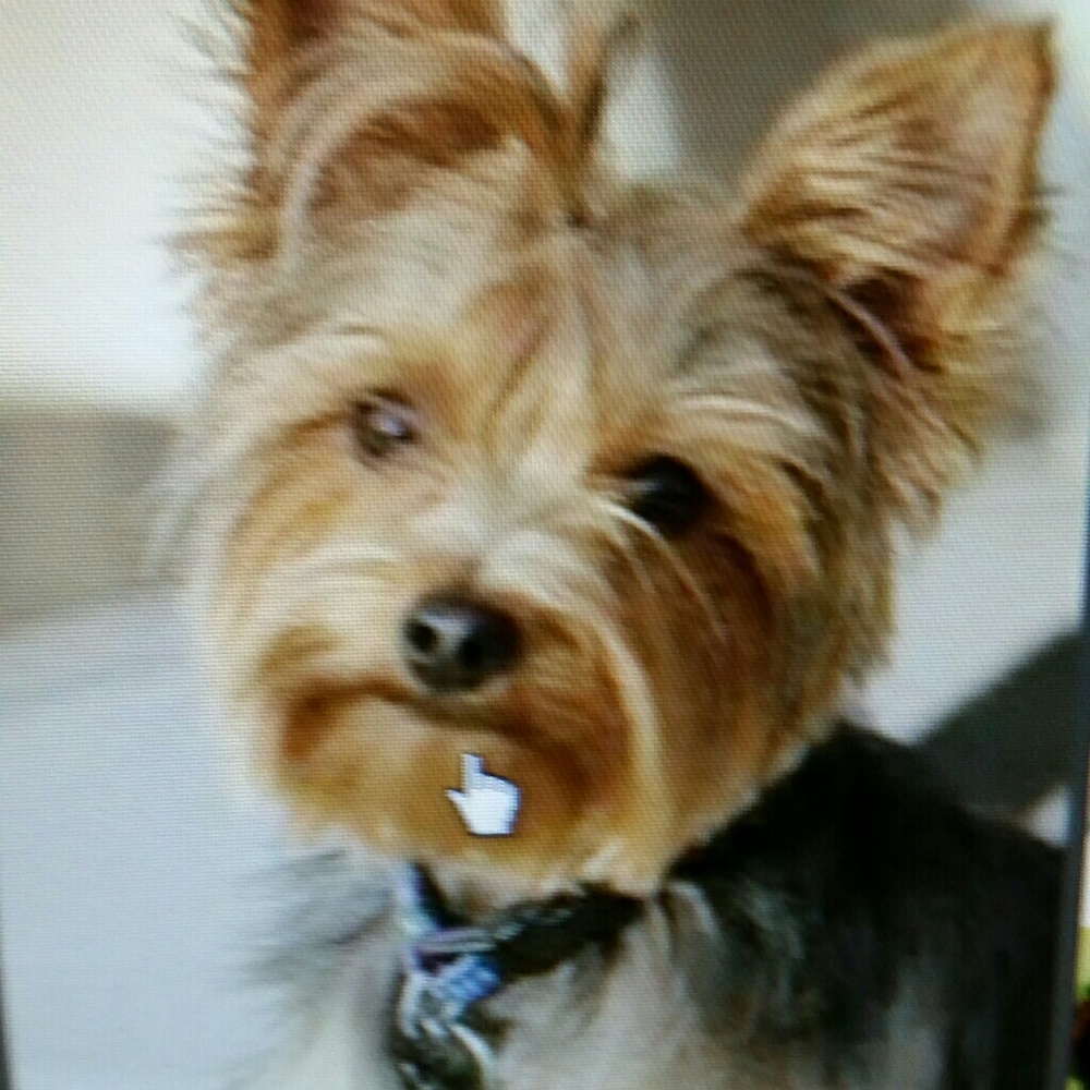 Meet your Posher, Imani