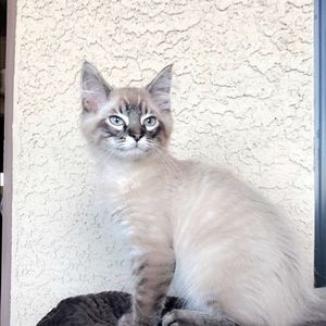 Meet your Posher, Mariam