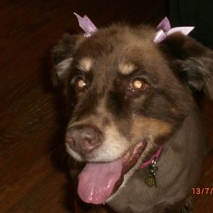 Meet your Posher, Sue