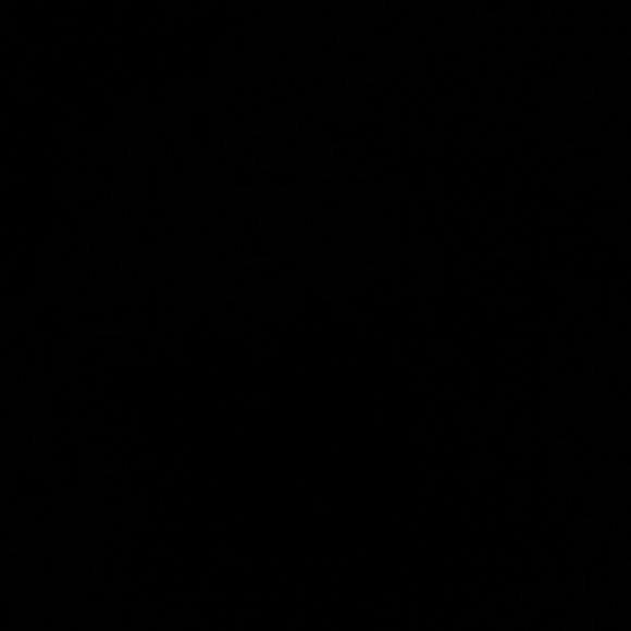 Meet your Posher, Adam - Picture 1 of 1