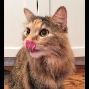 Meet your Posher, Martha