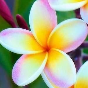 Meet your Posher, Deb