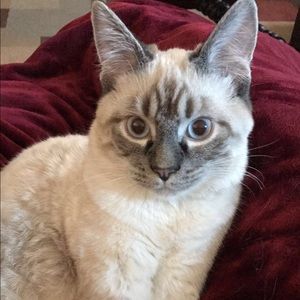 Meet your Posher, Lynda