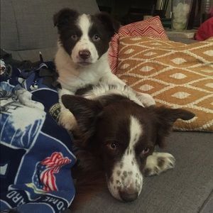 Meet your Posher, Maddie