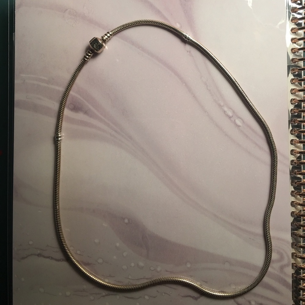 Silver pandora charm necklace
