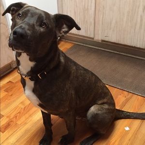 Meet your Posher, Luke