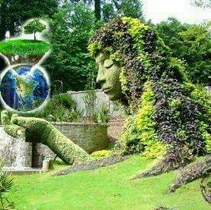 Meet your Posher, Ann