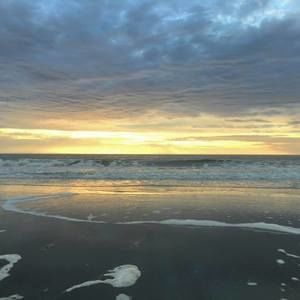 Meet your Posher, Holly