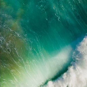 Meet your Posher, Cat