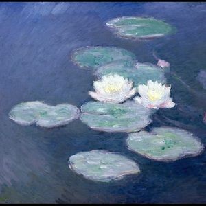 Meet your Posher, Terri