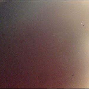 Meet your Posher, Cassie