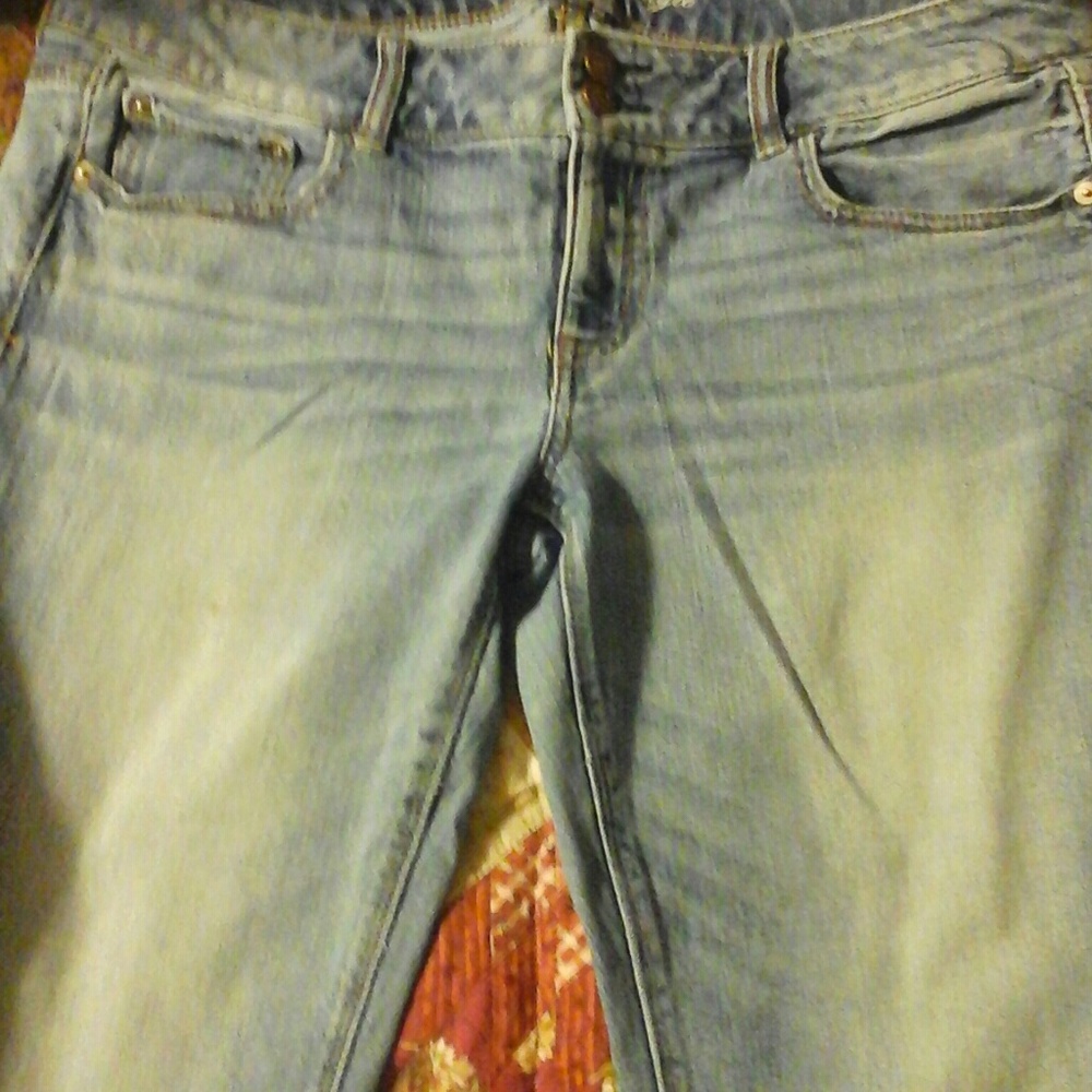 American Eagle Artist Jeans 14 Short