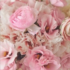 Meet your Posher, Rose