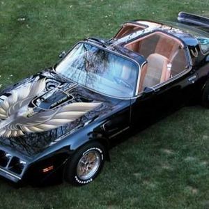 Meet your Posher, Heidi