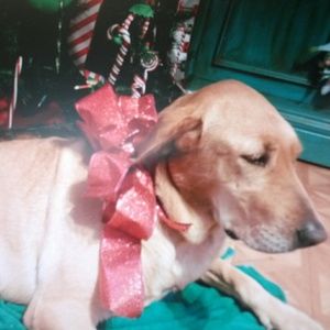 Meet your Posher, Kat