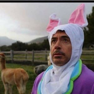 Meet your Posher, Peggy