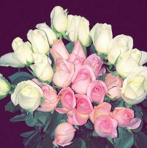 Meet your Posher, Adja