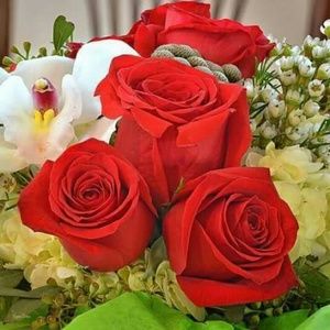 Meet your Posher, Marta