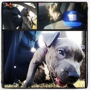 Meet your Posher, Dennis