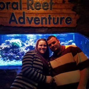 Meet your Posher, Dave