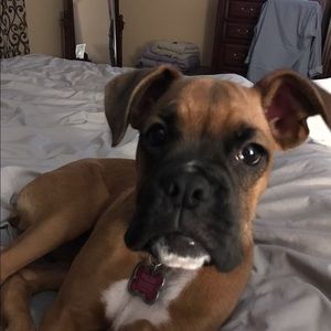 Meet your Posher, Maureen