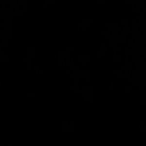 Meet your Posher, Christa