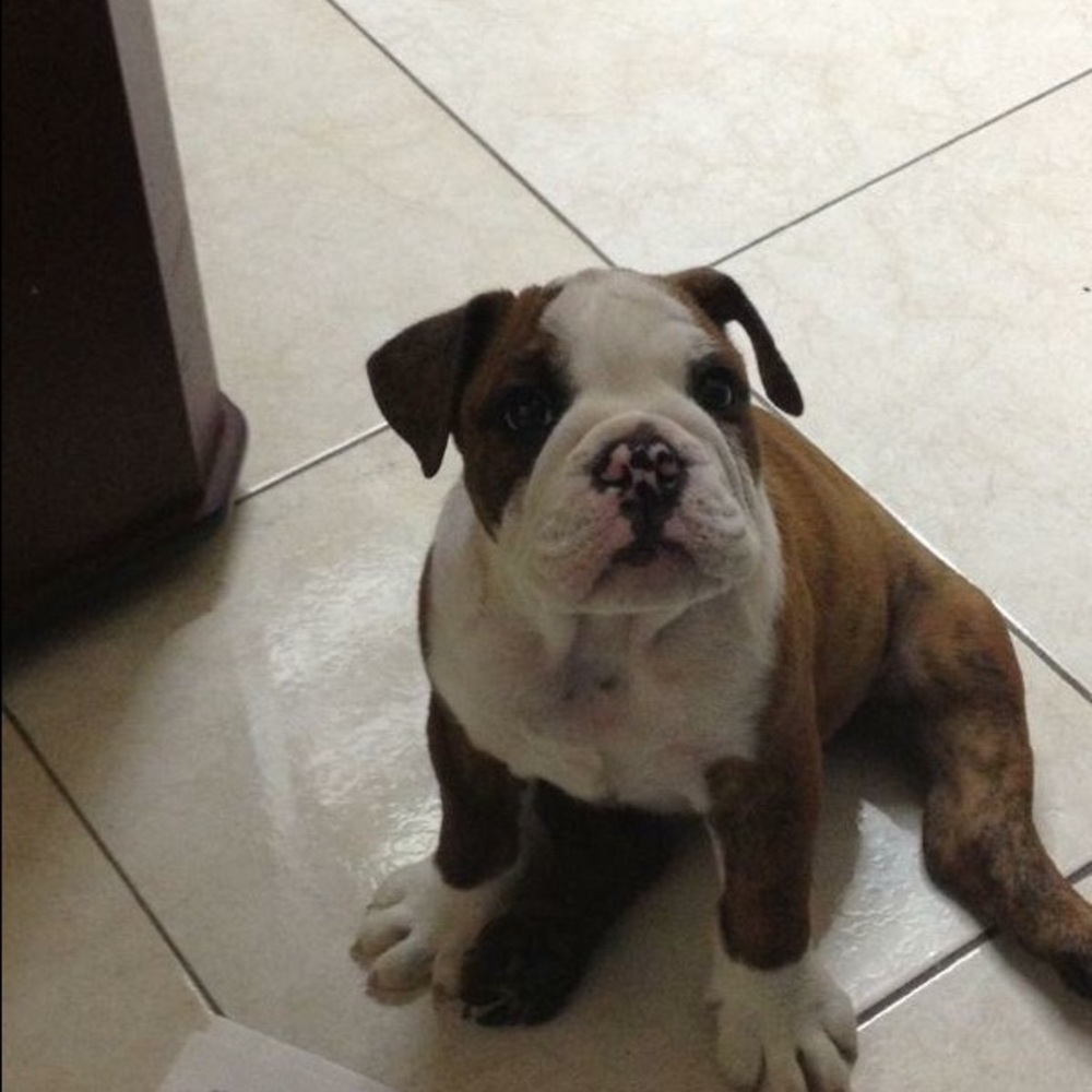 Meet your Posher, Adolfo