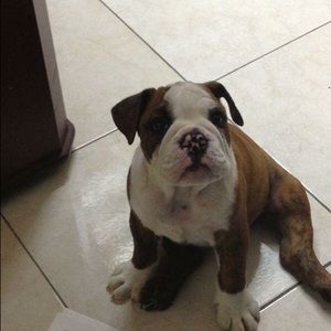 Meet your Posher, Adolfo