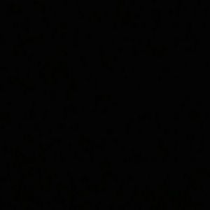 Meet your Posher, Priscila