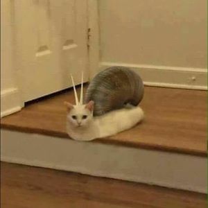 Meet your Posher, Yer