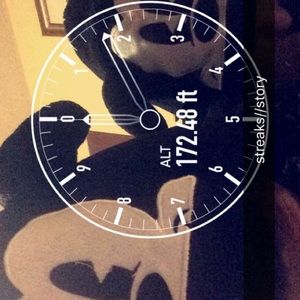 Meet your Posher, Jennie