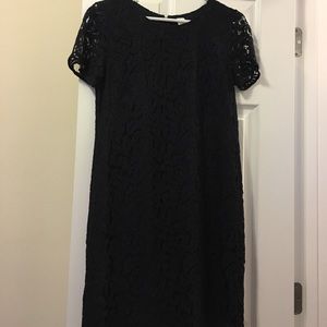 Ann Taylor navy blue lace dress