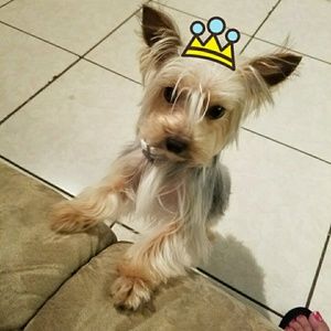 Meet your Posher, Jamileth