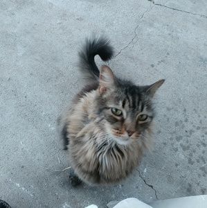 Meet your Posher, Dot