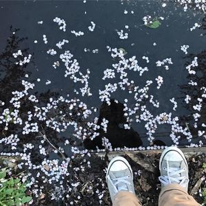 Meet your Posher, Elena