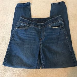 Skinny Leg Denim Jean Jeggings Levi's Pull On