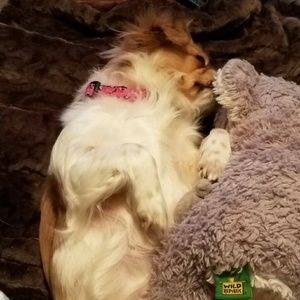 Meet your Posher, Tammy