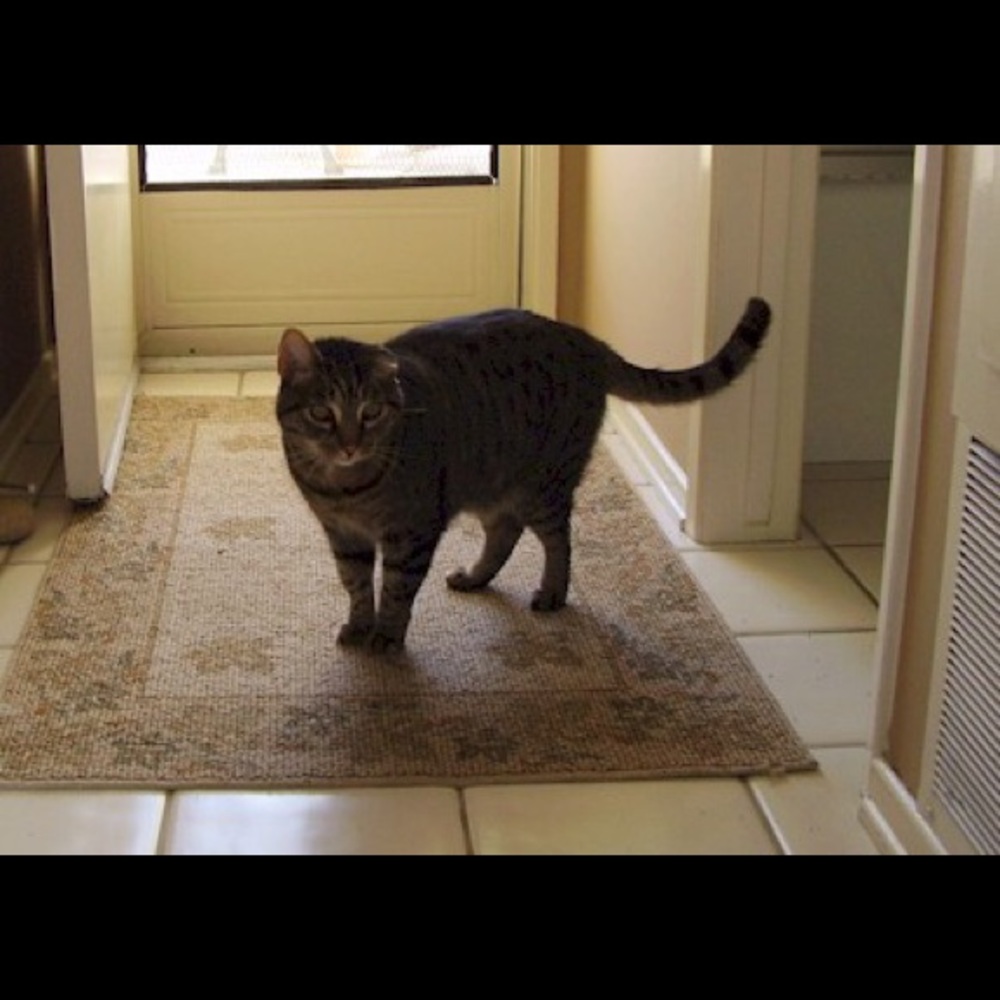 Meet your Posher, Jimmy