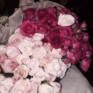 Meet your Posher, Ilva