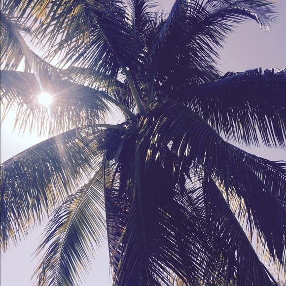 Thanks for stopping BUY🌴❤️🌴❤️🌴❤️ - Picture 2 of 4