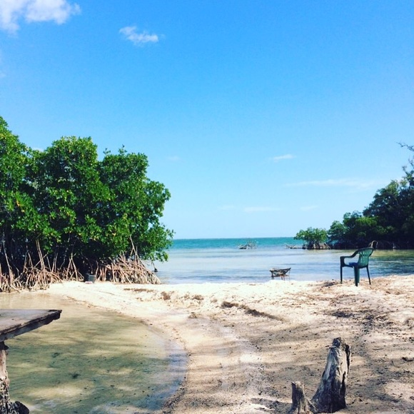 Thanks for stopping BUY🌴❤️🌴❤️🌴❤️ - Picture 3 of 4