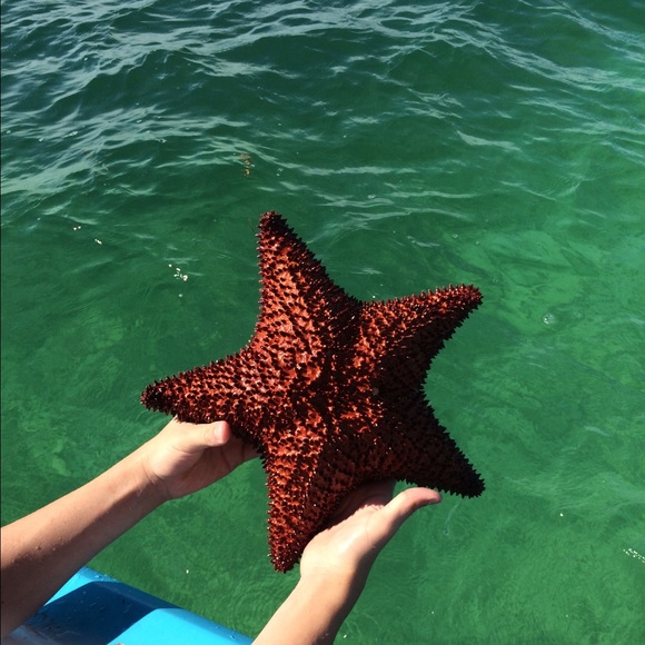 Thanks for stopping BUY🌴❤️🌴❤️🌴❤️ - Picture 4 of 4