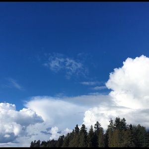 Meet your Posher, Butterfly